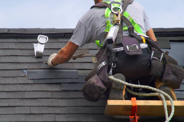 Best Chimney Flashing Repair  in Aiea, HI