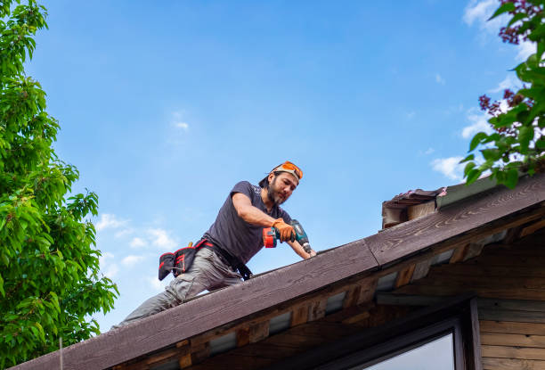 Best Roof Leak Repair  in Aiea, HI